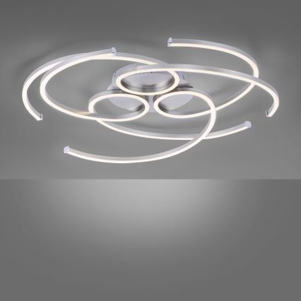 Paul Neuhaus 8165-55 - LED Димерний стельовий світильник DANILO 3xLED/12W/230V