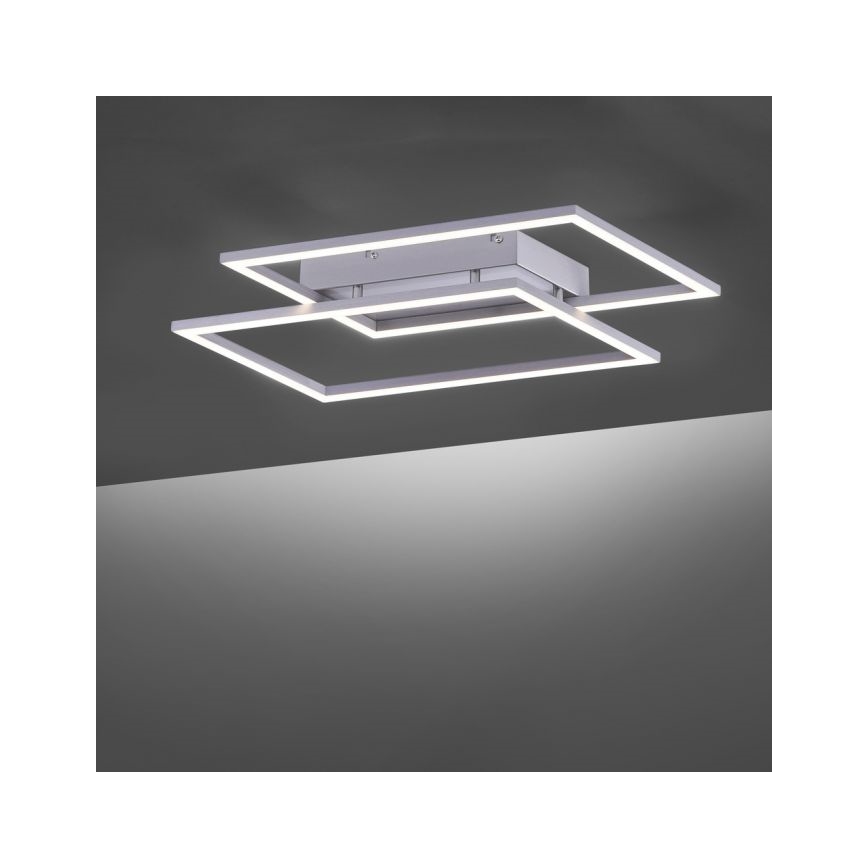 Paul Neuhaus 8192-55 - LED люстра для поверхневого монтажу з регульованою яскравістю INIGO 2xLED/12W/230V