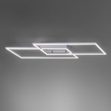 Paul Neuhaus 8193-55 - LED люстра для поверхневого монтажу з регульованою яскравістю INIGO 2xLED/15W/230V