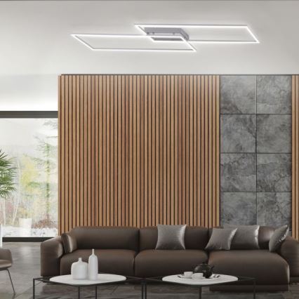 Paul Neuhaus 8194-55 - LED люстра для поверхневого монтажу з регульованою яскравістю INIGO 2xLED/20W/230V