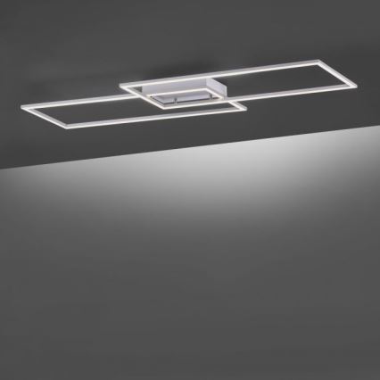 Paul Neuhaus 8194-55 - LED люстра для поверхневого монтажу з регульованою яскравістю INIGO 2xLED/20W/230V