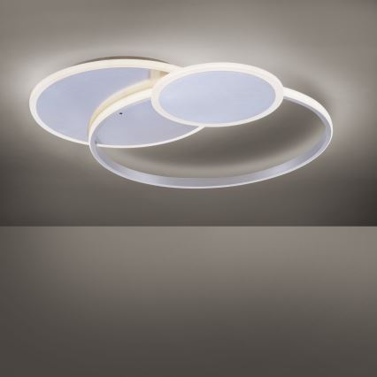 Paul Neuhaus 8318-55 - LED Стельовий світильник з регулюванням яскравості EMILIO LED/53W/230V + дистанційне керування