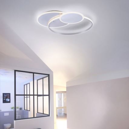 Paul Neuhaus 8318-55 - LED Стельовий світильник з регулюванням яскравості EMILIO LED/53W/230V + дистанційне керування