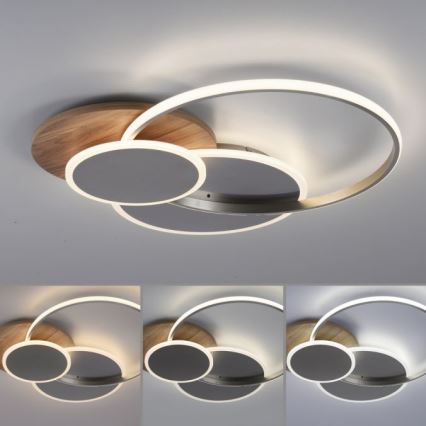 Paul Neuhaus 8328-79 - Светодиодный потолочный светильник с регулированием яркости PALMA LED/50W/230V 2700-5000K сосна + дистанционное управление