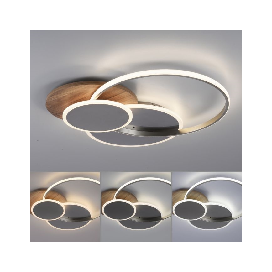 Paul Neuhaus 8328-79 - Светодиодный потолочный светильник с регулированием яркости PALMA LED/50W/230V 2700-5000K сосна + дистанционное управление