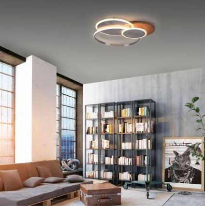 Paul Neuhaus 8328-79 - Светодиодный потолочный светильник с регулированием яркости PALMA LED/50W/230V 2700-5000K сосна + дистанционное управление