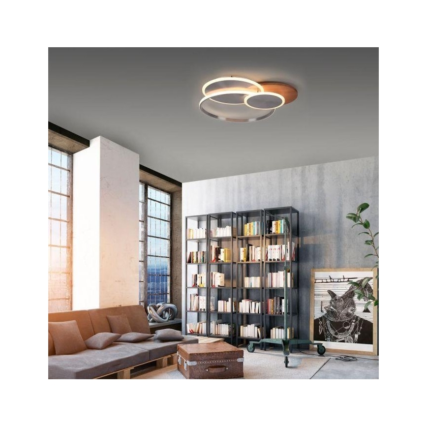 Paul Neuhaus 8328-79 - Светодиодный потолочный светильник с регулированием яркости PALMA LED/50W/230V 2700-5000K сосна + дистанционное управление