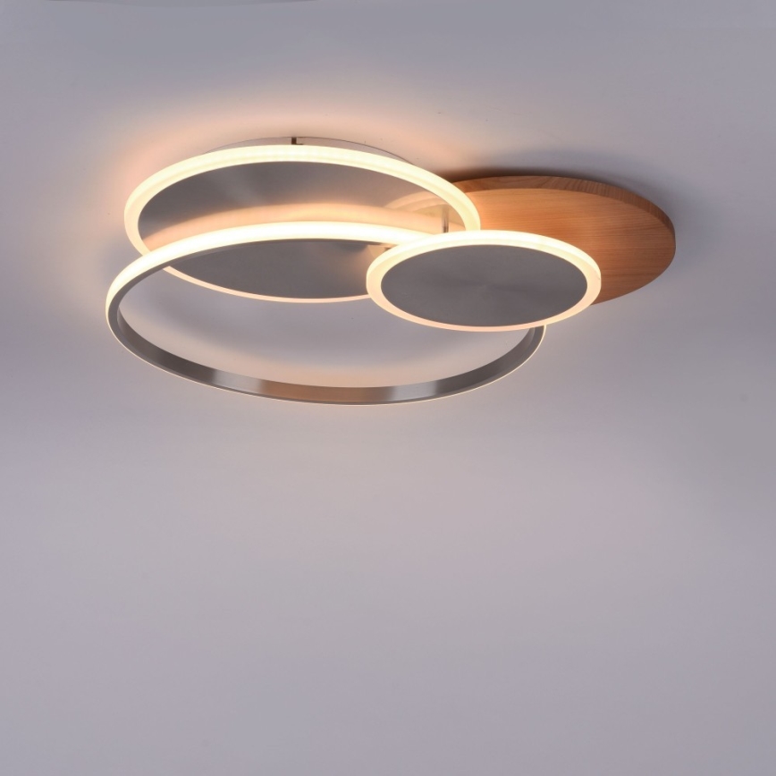 Paul Neuhaus 8328-79 - Светодиодный потолочный светильник с регулированием яркости PALMA LED/50W/230V 2700-5000K сосна + дистанционное управление