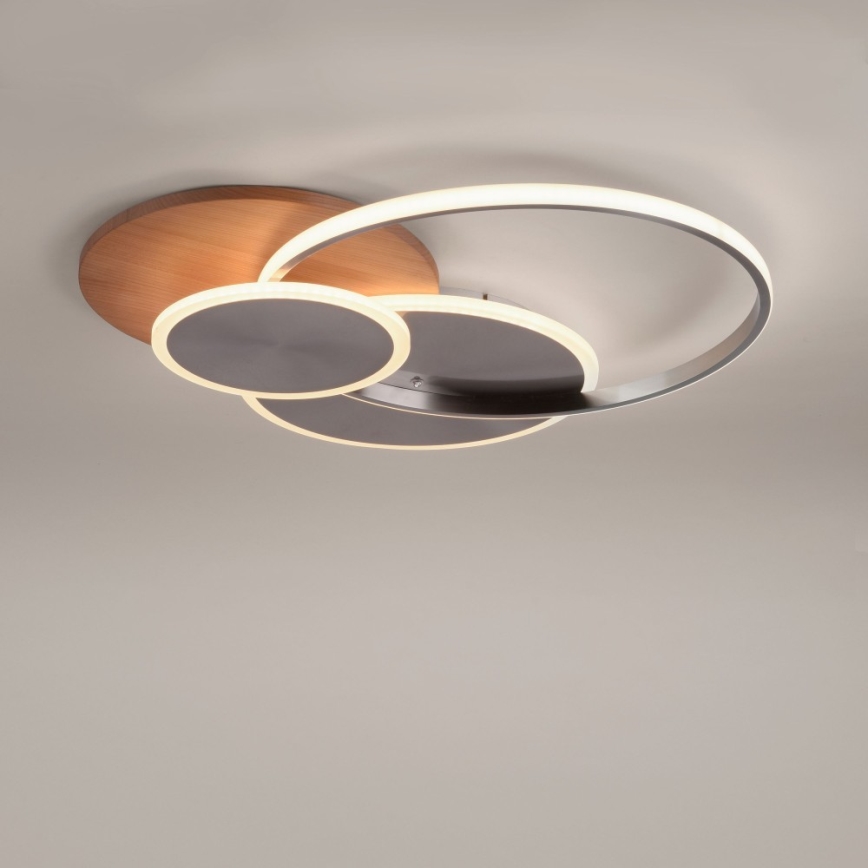Paul Neuhaus 8328-79 - Светодиодный потолочный светильник с регулированием яркости PALMA LED/50W/230V 2700-5000K сосна + дистанционное управление