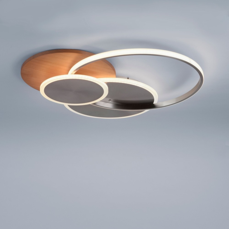 Paul Neuhaus 8328-79 - Светодиодный потолочный светильник с регулированием яркости PALMA LED/50W/230V 2700-5000K сосна + дистанционное управление