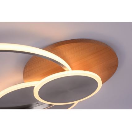 Paul Neuhaus 8328-79 - Светодиодный потолочный светильник с регулированием яркости PALMA LED/50W/230V 2700-5000K сосна + дистанционное управление