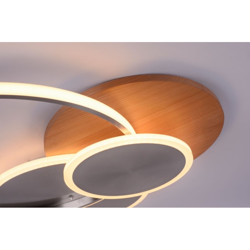 Paul Neuhaus 8328-79 - Светодиодный потолочный светильник с регулированием яркости PALMA LED/50W/230V 2700-5000K сосна + дистанционное управление