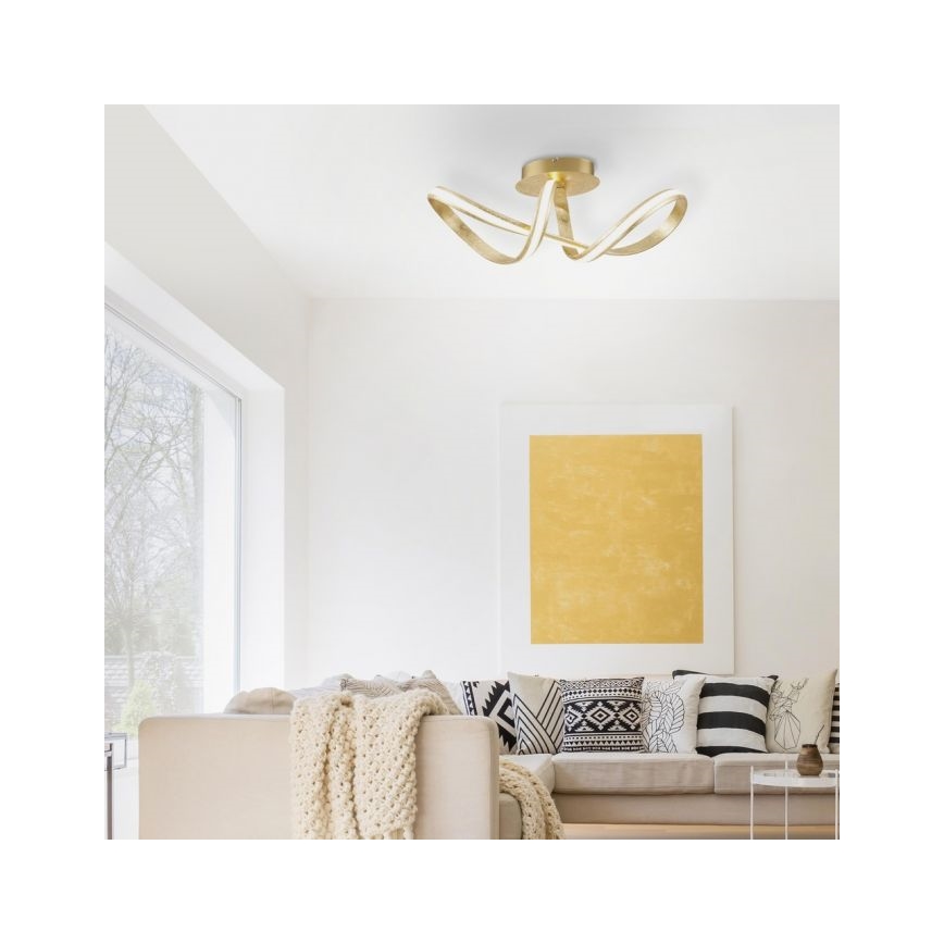 Paul Neuhaus 8331-12 - Пристельова LED люстра з регулюванням яскравості MELINDA LED/30W/230V