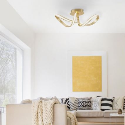 Paul Neuhaus 8331-12 - Светодиодная припотолочная люстра с регулированием яркости MELINDA LED/30W/230V