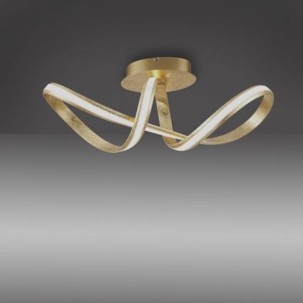 Paul Neuhaus 8331-12 - Светодиодная припотолочная люстра с регулированием яркости MELINDA LED/30W/230V