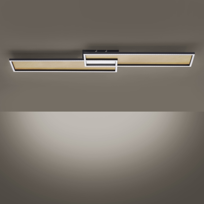 Paul Neuhaus 8371-18 - LED Димерний стельовий світильник AMARA LED/40W/230V + дистанційне керування