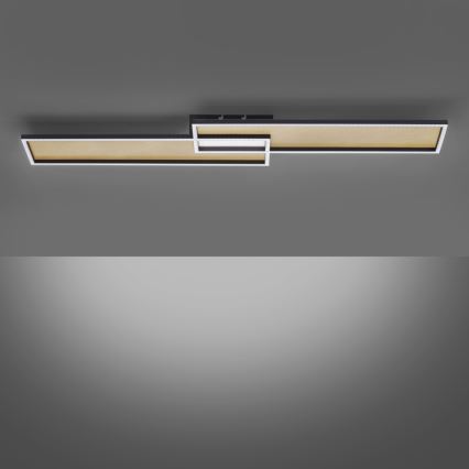 Paul Neuhaus 8371-18 - LED Димерний стельовий світильник AMARA LED/40W/230V + дистанційне керування