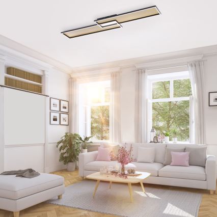 Paul Neuhaus 8371-18 - LED Димерний стельовий світильник AMARA LED/40W/230V + дистанційне керування