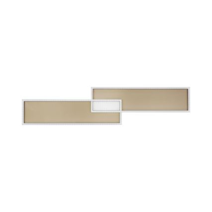 Paul Neuhaus 8371-18 - Светодиодный потолочный светильник с регулированием яркости AMARA LED/40W/230V + пульт ДУ