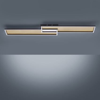 Paul Neuhaus 8371-18 - Светодиодный потолочный светильник с регулированием яркости AMARA LED/40W/230V + пульт ДУ