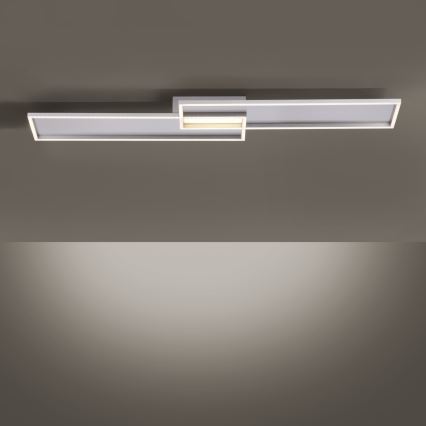 Paul Neuhaus 8371-55 - LED Димерний стельовий світильник AMARA LED/40W/230V + дистанційне керування