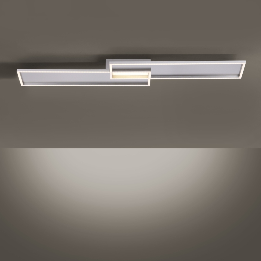 Paul Neuhaus 8371-55 - LED Димерний стельовий світильник AMARA LED/40W/230V + дистанційне керування