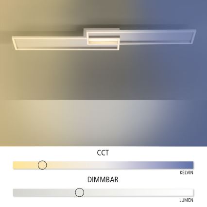 Paul Neuhaus 8371-55 - LED Димерний стельовий світильник AMARA LED/40W/230V + дистанційне керування