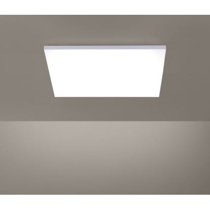 Paul Neuhaus 8492-16 - Стельовий LED світильник з регулюванням яскравості FRAMELESS LED/35W/230V
