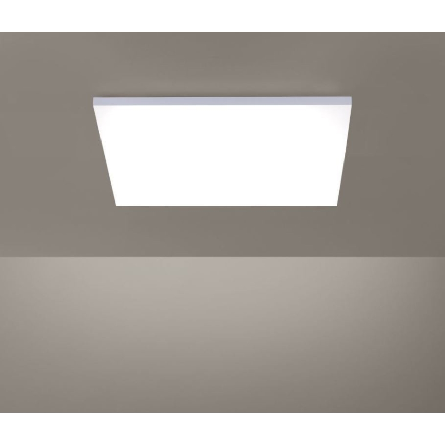 Paul Neuhaus 8492-16 - Стельовий LED світильник з регулюванням яскравості FRAMELESS LED/35W/230V