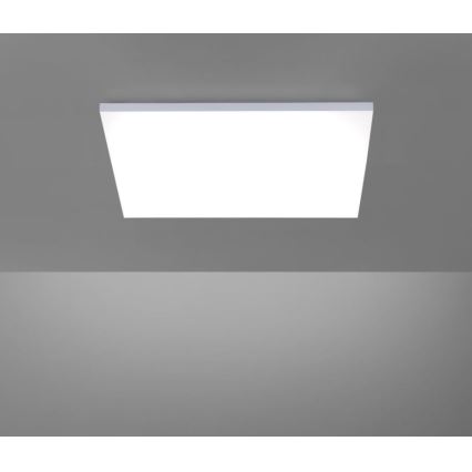 Paul Neuhaus 8492-16 - Стельовий LED світильник з регулюванням яскравості FRAMELESS LED/35W/230V