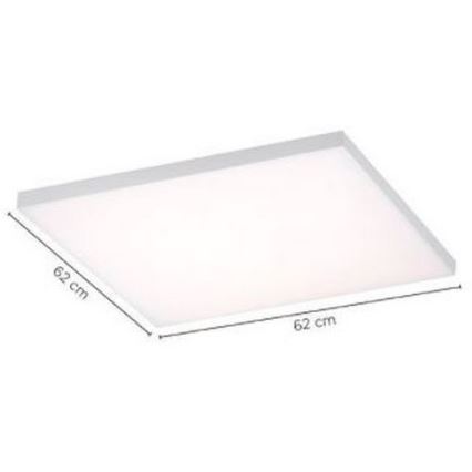 Paul Neuhaus 8492-16 - Стельовий LED світильник з регулюванням яскравості FRAMELESS LED/35W/230V
