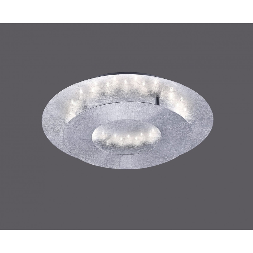 Paul Neuhaus 9011-21 - Светодиодный потолочный светильник NEVIS LED/6W/230V серебряный