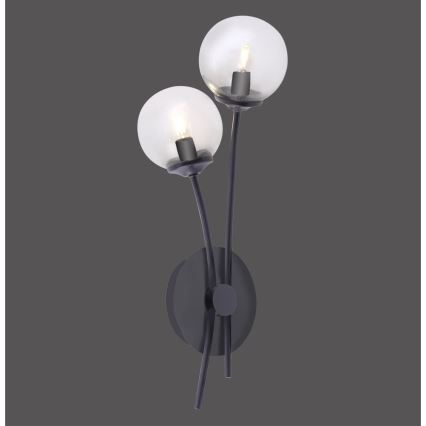 Paul Neuhaus 9014-18 - Настінний LED світильник WIDOW 2xG9/3W/230V