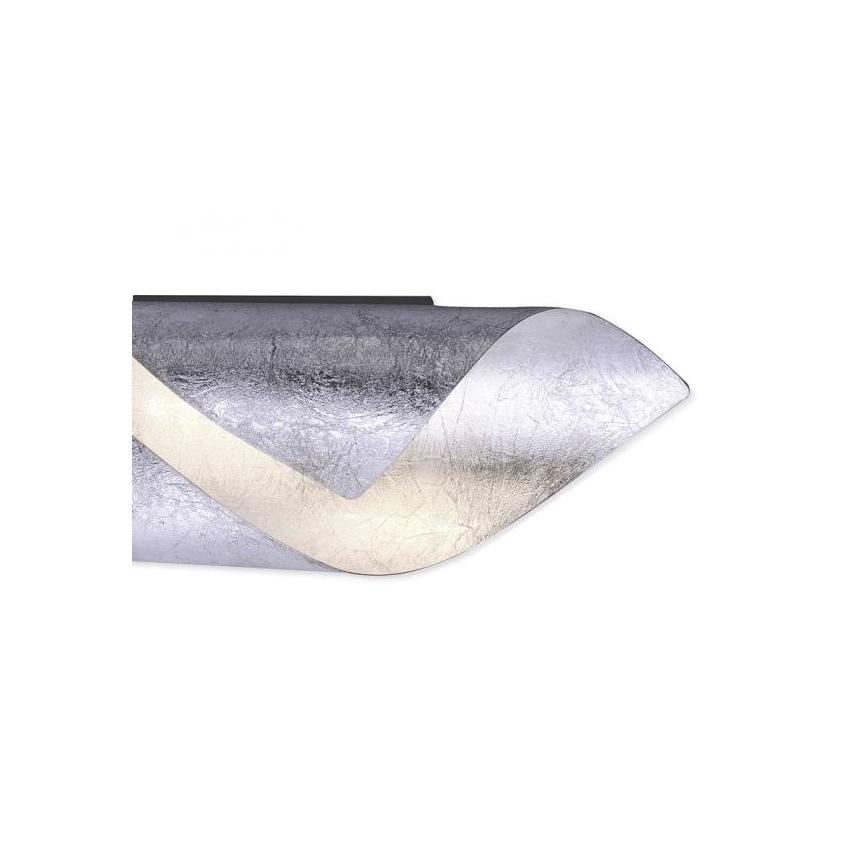 Paul Neuhaus 9030-21 - Настінний LED світильник NEVIS LED/6W/230V срібний