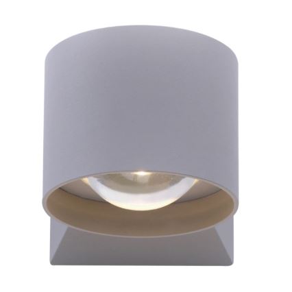 Paul Neuhaus 9441-21 - Светодиодный уличный настенный светильник TIMO 2xLED/2W/230V IP54