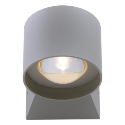 Paul Neuhaus 9441-21 - Вуличний LED настінний світильник TIMO 2xLED/2W/230V IP54