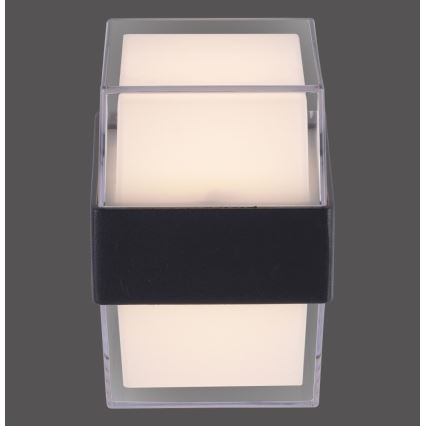 Paul Neuhaus 9480-13 - Вуличний LED настінний світильник CARA LED/8W/230V IP44