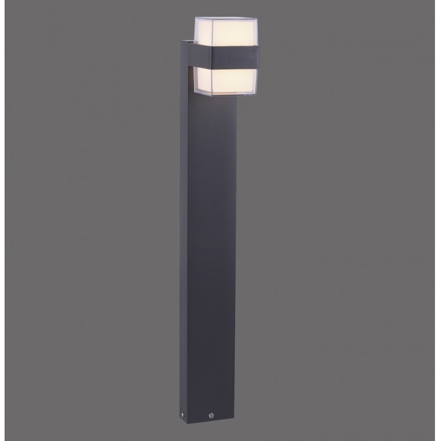 Paul Neuhaus 9481-13 - Вулична LED лампа CARA LED/8W/230V IP44