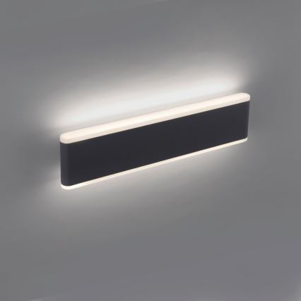 Paul Neuhaus 9484-13 - Вуличний настінний LED світильник з регулюванням яскравості ELSA 2xLED/9W/230V IP65