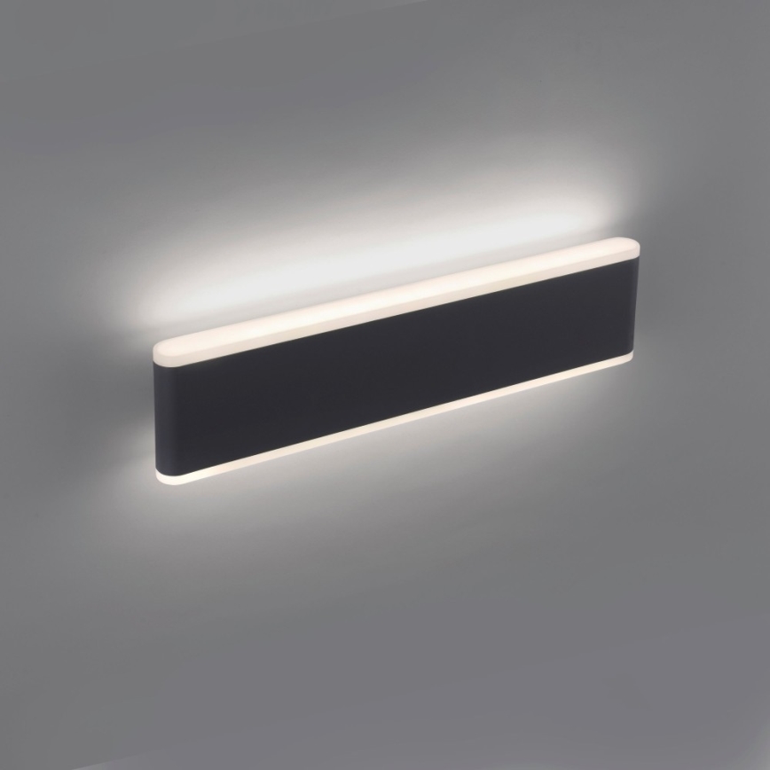 Paul Neuhaus 9484-13 - Вуличний настінний LED світильник з регулюванням яскравості ELSA 2xLED/9W/230V IP65