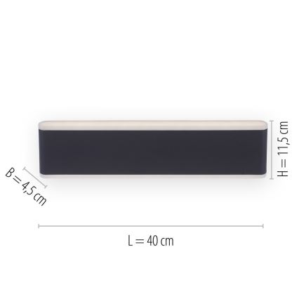 Paul Neuhaus 9484-13 - Вуличний настінний LED світильник з регулюванням яскравості ELSA 2xLED/9W/230V IP65