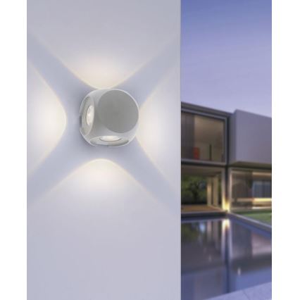 Paul Neuhaus 9485-21 - Светодиодный уличный настенный светильник CARLO 4xLED/0,8W/230V IP54