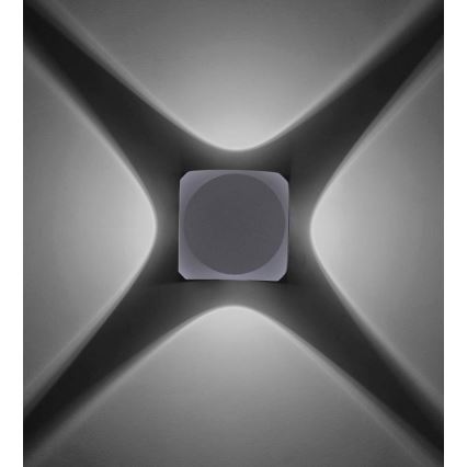 Paul Neuhaus 9485-21 - Светодиодный уличный настенный светильник CARLO 4xLED/0,8W/230V IP54