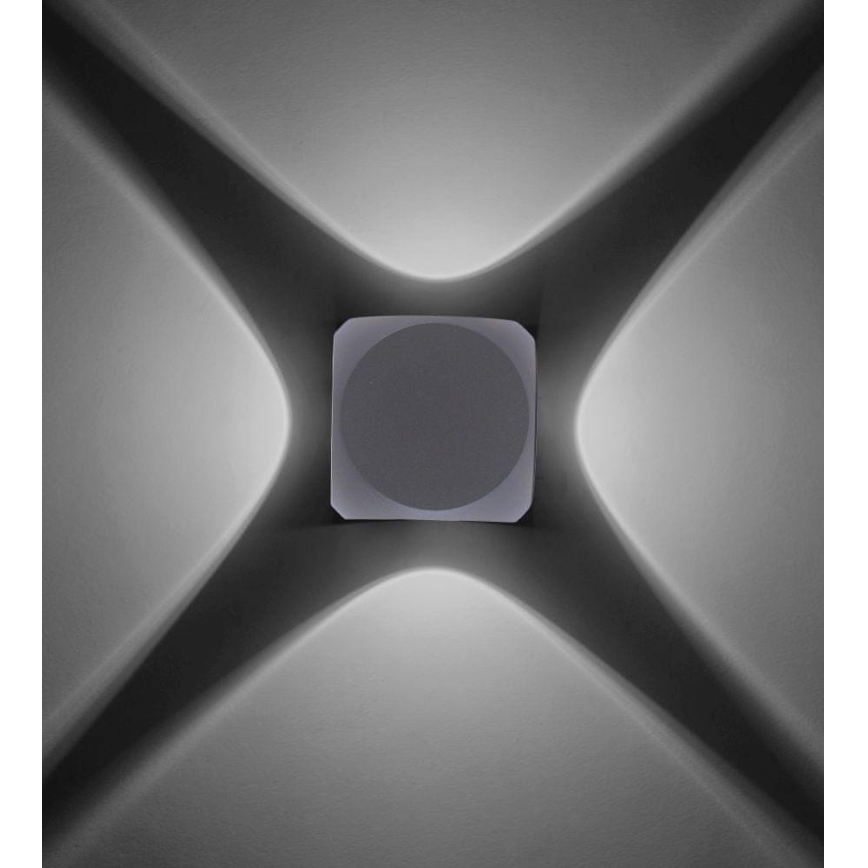 Paul Neuhaus 9485-21 - Светодиодный уличный настенный светильник CARLO 4xLED/0,8W/230V IP54