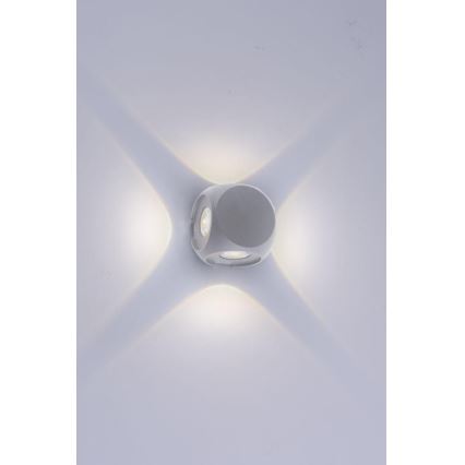 Paul Neuhaus 9485-21 - Светодиодный уличный настенный светильник CARLO 4xLED/0,8W/230V IP54