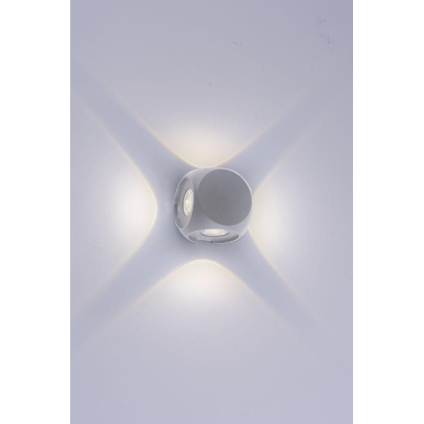 Paul Neuhaus 9485-21 - Светодиодный уличный настенный светильник CARLO 4xLED/0,8W/230V IP54
