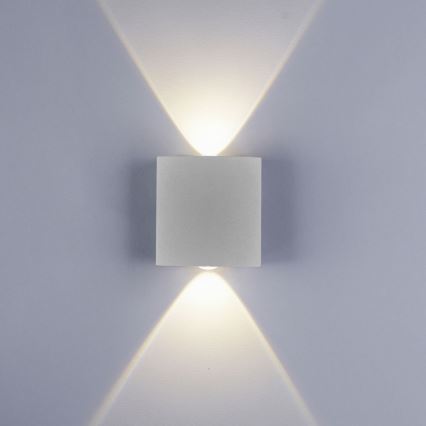 Paul Neuhaus 9486-21 - Светодиодный уличный настенный светильник CARLO 2xLED/1,7W/230V IP54