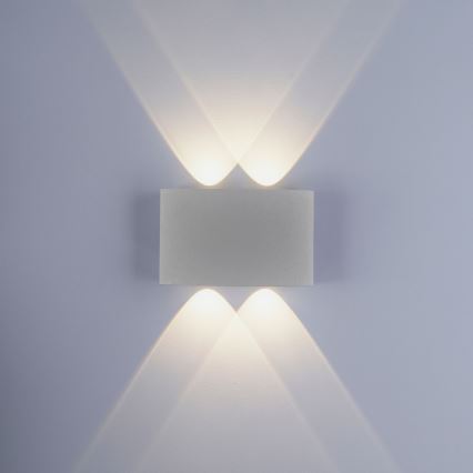 Paul Neuhaus 9487-21 - Вуличний настінний LED світильник CARLO 4xLED/0,8W/230V IP54