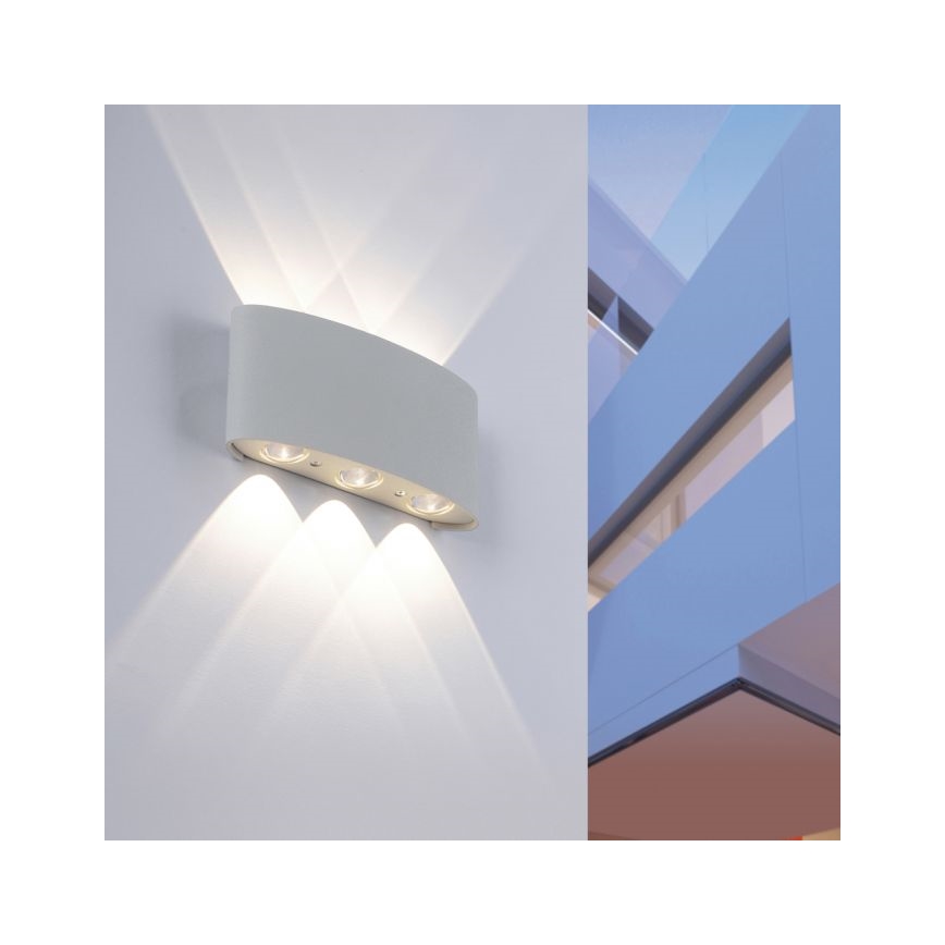 Paul Neuhaus 9488-21 - Светодиодный уличный настенный светильник CARLO 6xLED/0,8W/230V IP54