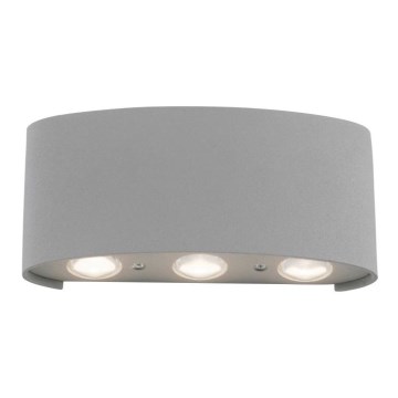 Paul Neuhaus 9488-21 - Вуличний настінний LED світильник CARLO 6xLED/0,8W/230V IP54